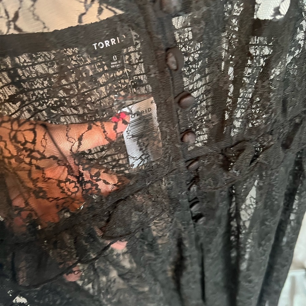 WORN ONCE Black Lace Sheer Dress - Picture 11 of 14